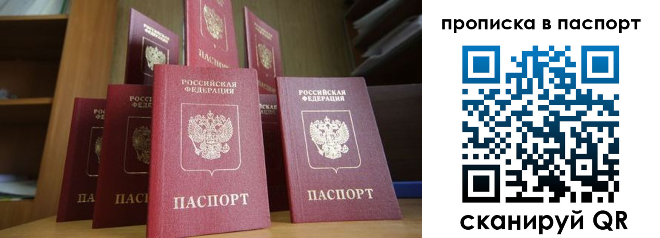 прописка законно в Завитинске